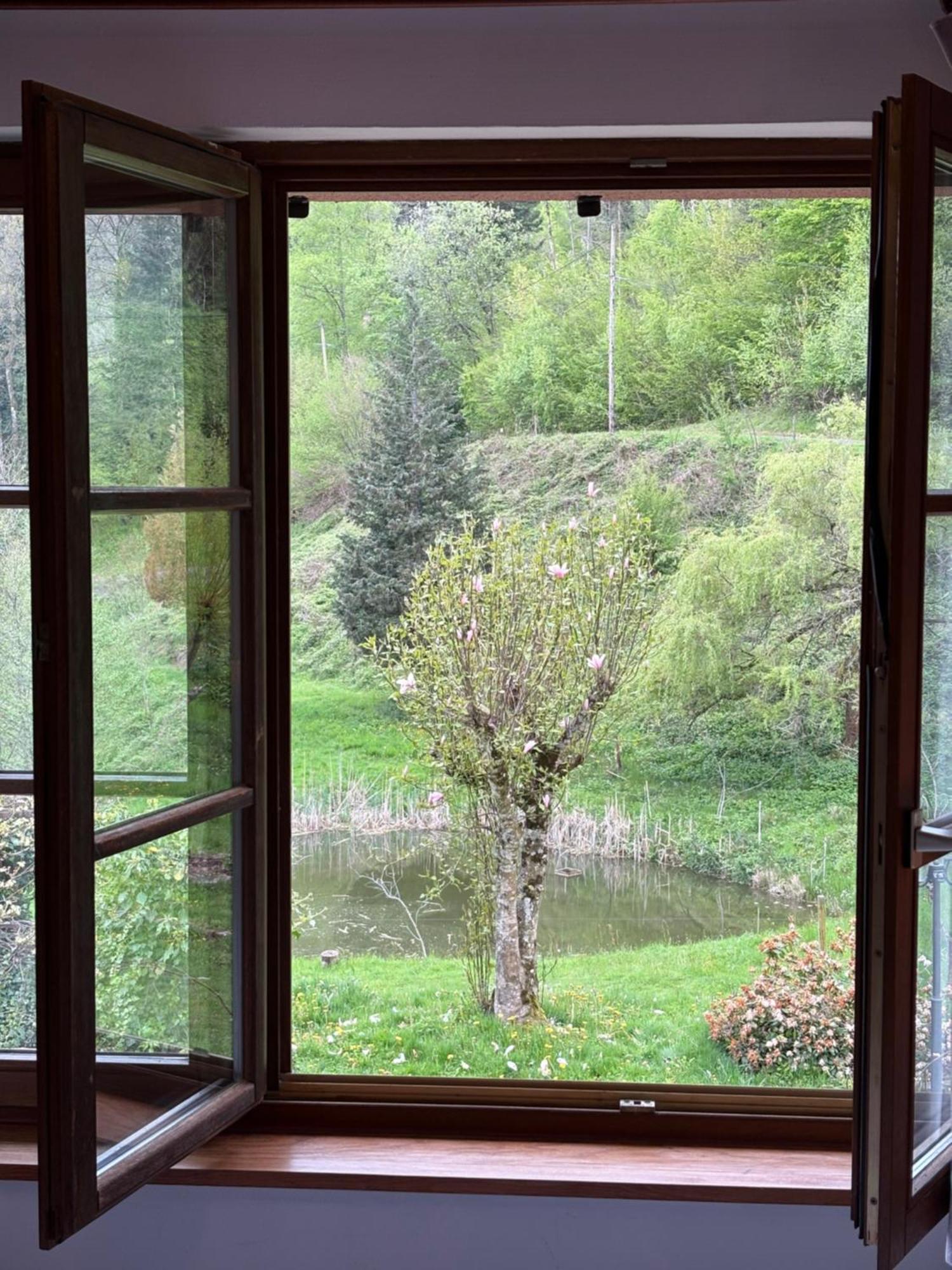 ホテル La Belle Charbonniere La Grande Fosse 部屋 写真