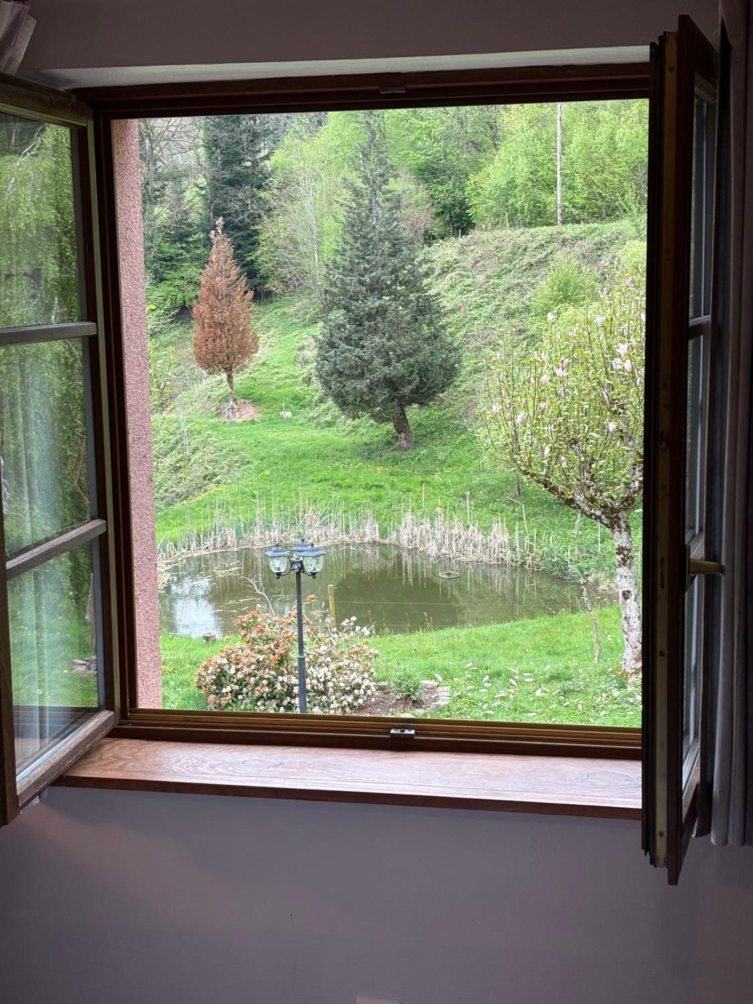 ホテル La Belle Charbonniere La Grande Fosse 部屋 写真