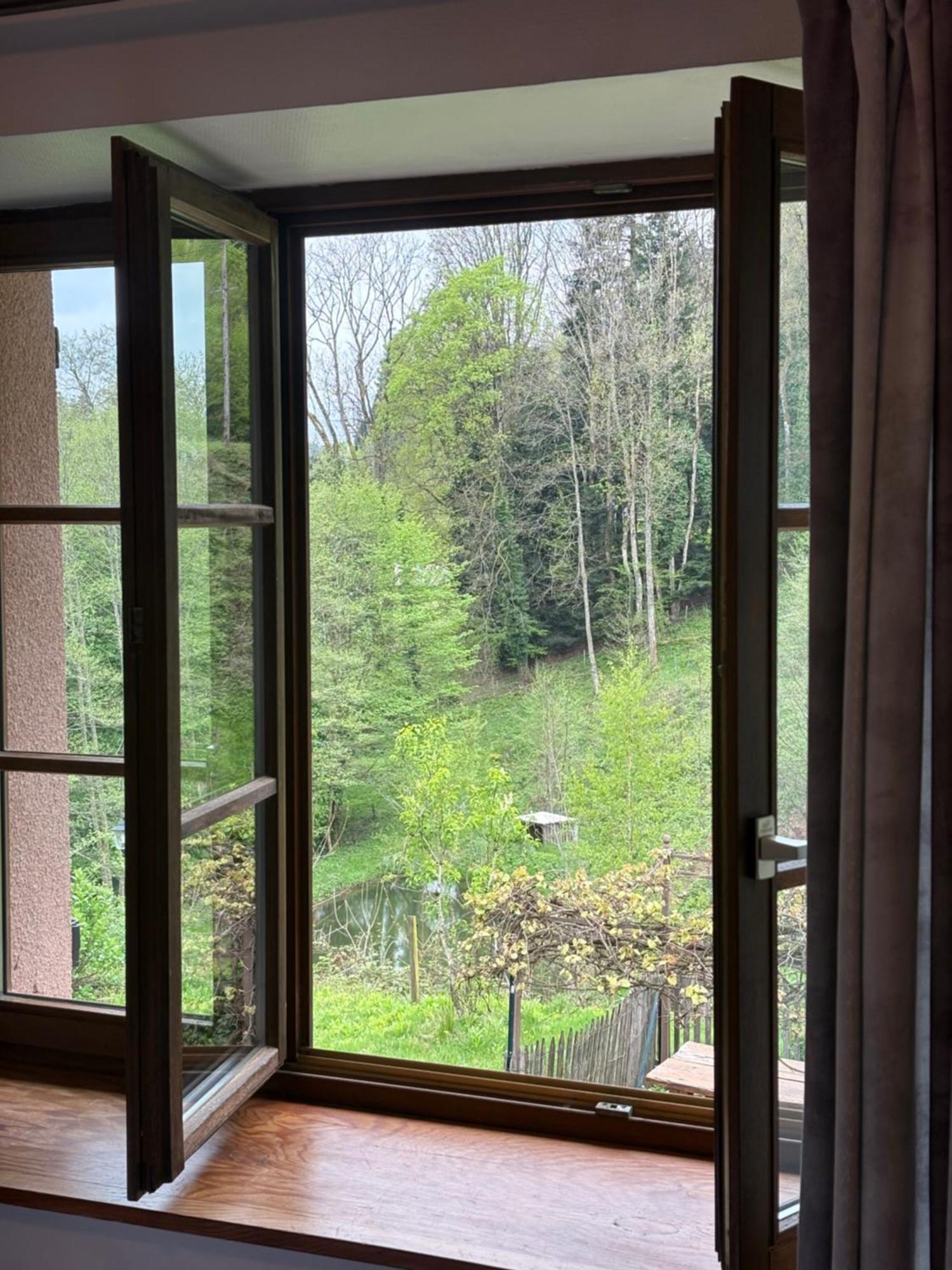 ホテル La Belle Charbonniere La Grande Fosse 部屋 写真