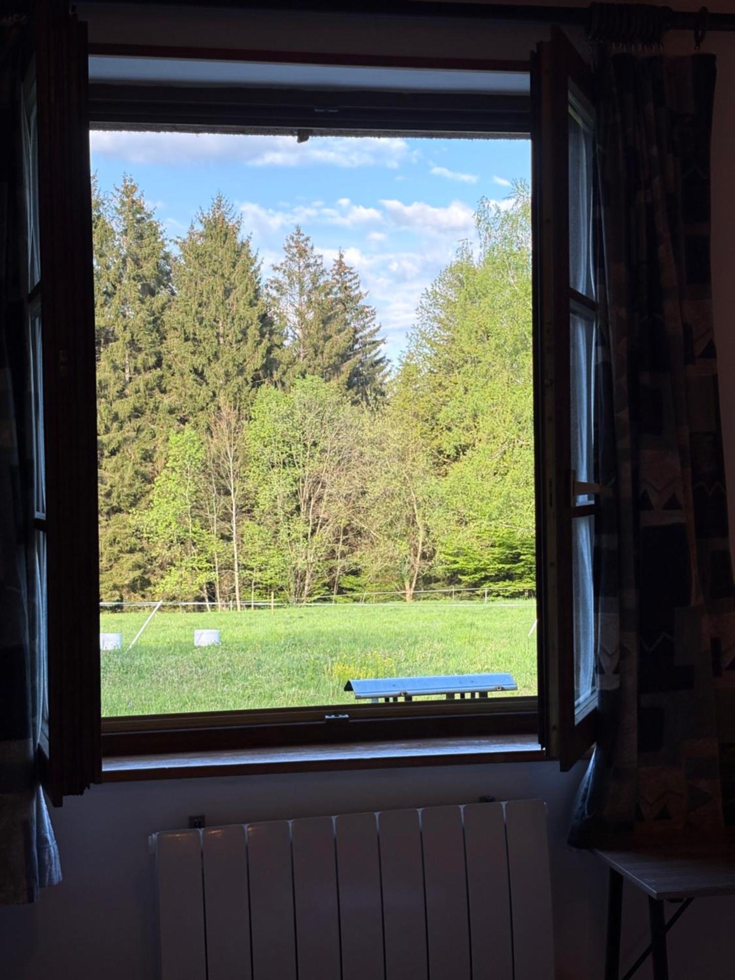 ホテル La Belle Charbonniere La Grande Fosse 部屋 写真