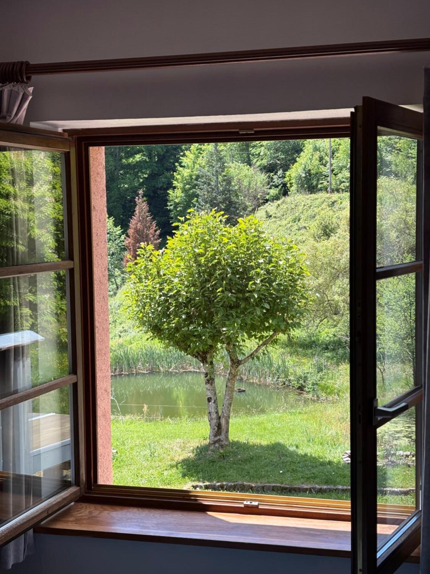 ホテル La Belle Charbonniere La Grande Fosse 部屋 写真